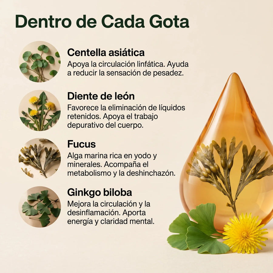 Las cuatro plantas dentro de cada gota de Aurelys