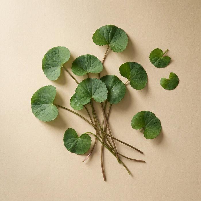Centella asiática